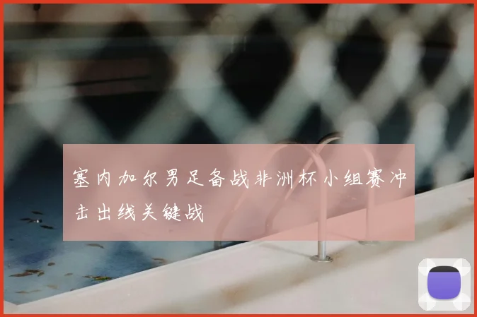 塞内加尔男足备战非洲杯小组赛冲击出线关键战